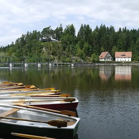 Nr 2c Plus, Hagbuegerl, Bayr Wald Дом отдыха