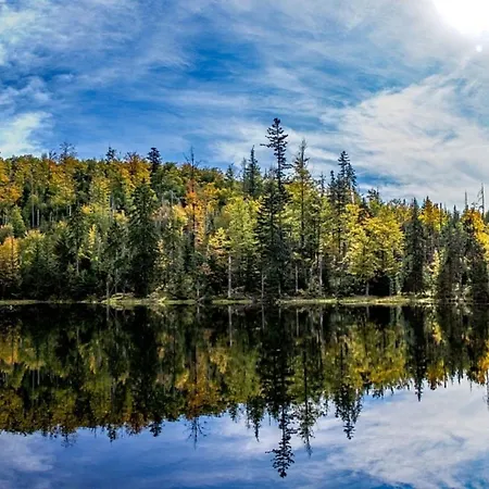 Nr 2c Plus, Hagbuegerl, Bayr Wald Вальдмюнхен