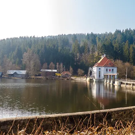Nr 2c Plus, Hagbuegerl, Bayr Wald Waldmünchen