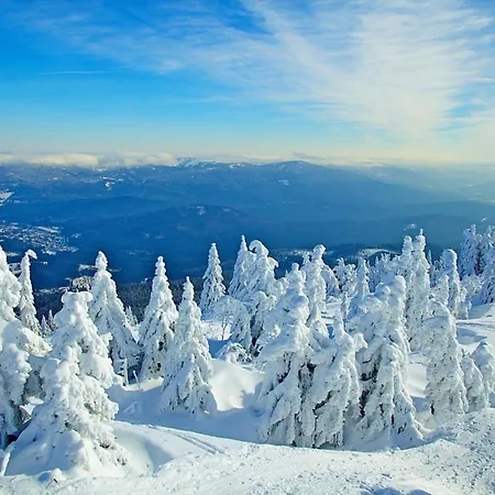 Nr 2c Plus, Hagbuegerl, Bayr Wald Waldmünchen