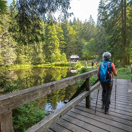 Nr 2c Plus, Hagbuegerl, Bayr Wald